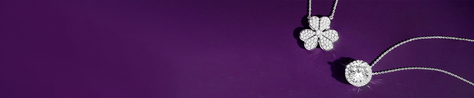 collier_banner collier_banner