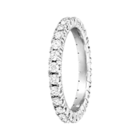 Platinring Memoire Ring Platinring Memoire Ring