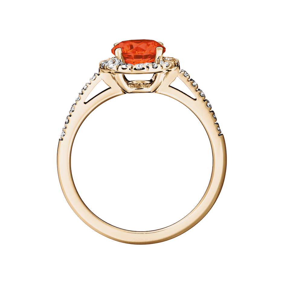 rose gold rose gold