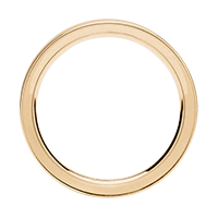 Ringschiene in Gelbgold Ringschiene in Gelbgold