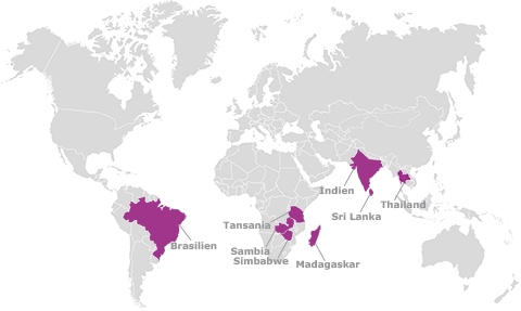Vorkommen Rhodolite Vorkommen Rhodolite