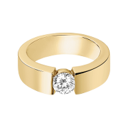 Ringschiene Ringschiene