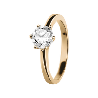 ringe ringe