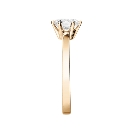 rose gold rose gold
