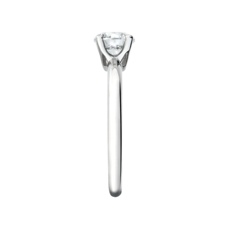 white gold white gold