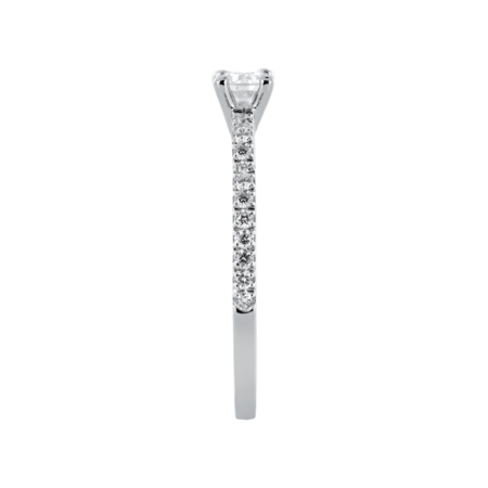 white gold white gold