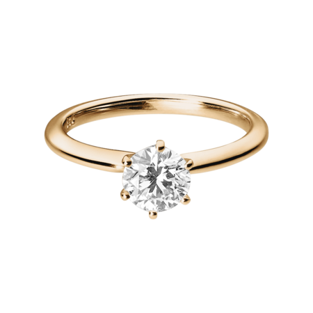 rose gold rose gold