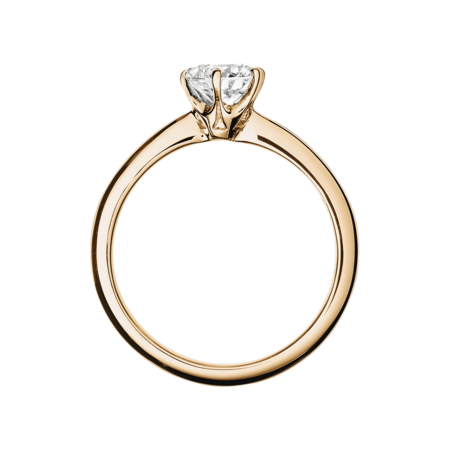 rose gold rose gold