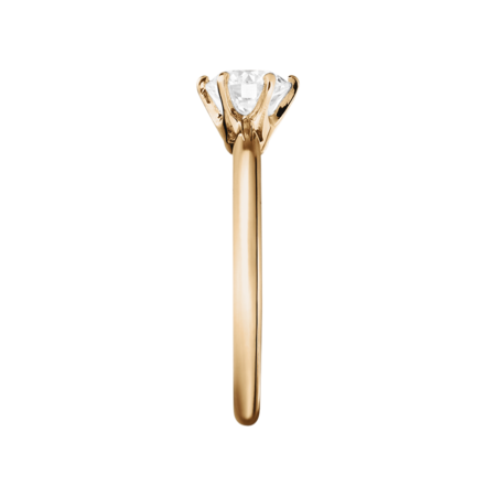 rose gold rose gold