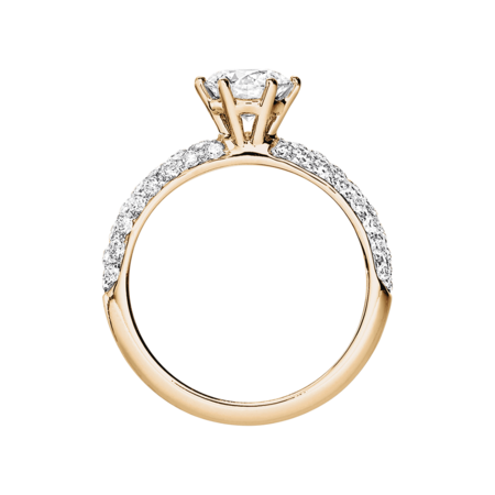rose gold rose gold