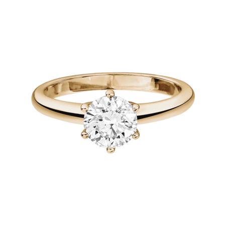 rose gold rose gold