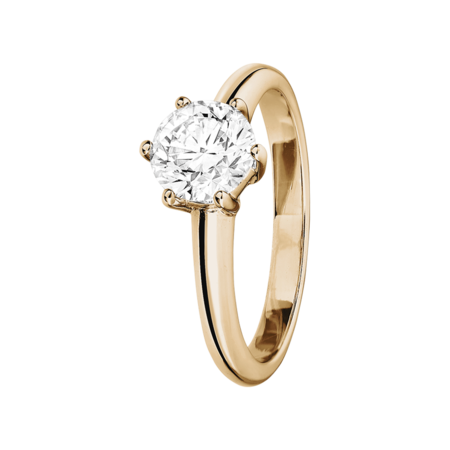 rose gold rose gold