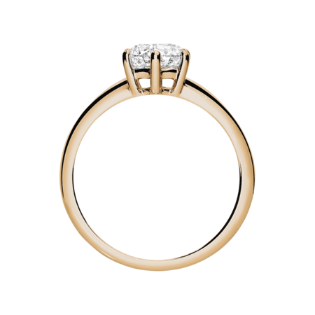 rose gold rose gold