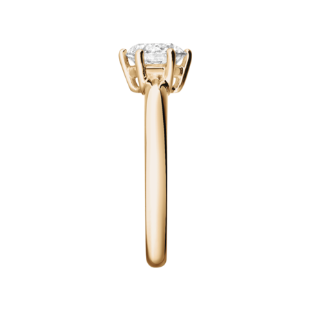 rose gold rose gold