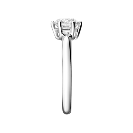 white gold white gold