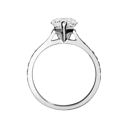 white gold white gold