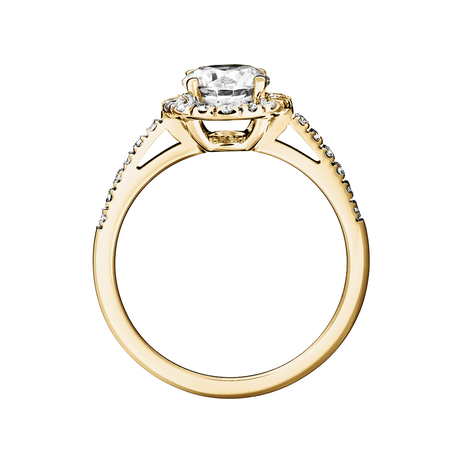yellow gold - round yellow gold - round