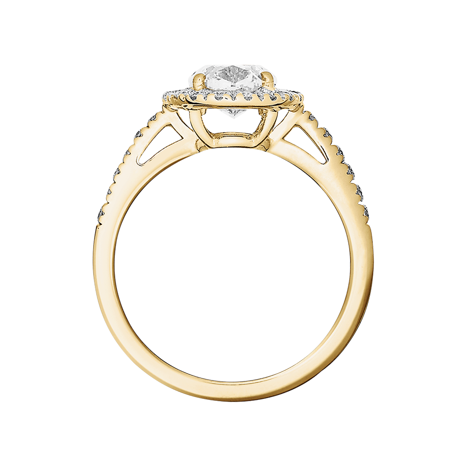 yellow gold - oval yellow gold - oval