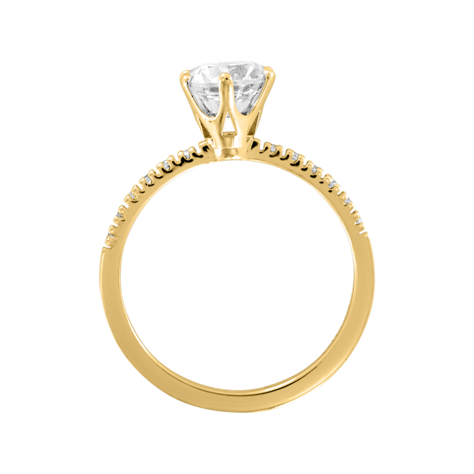 yellow gold - round yellow gold - round