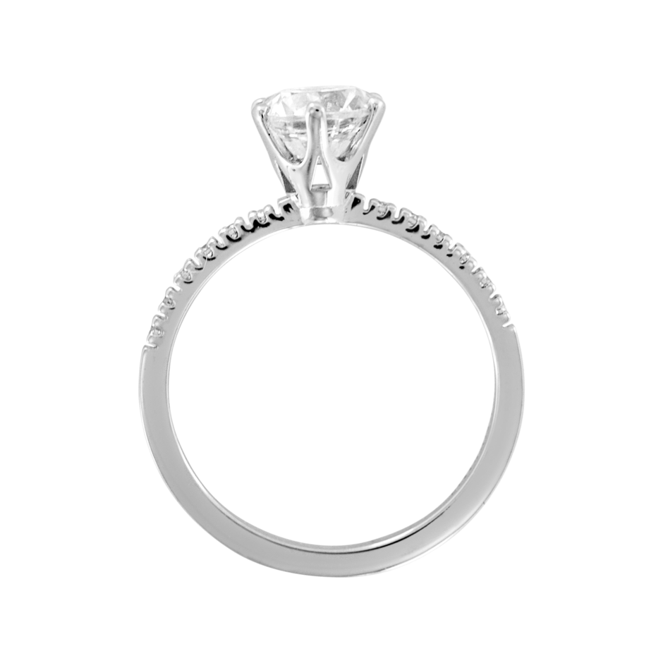 white gold - round white gold - round
