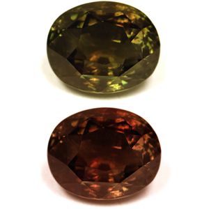 12.98 Carat Ovale Formulaire Alexandrite Gemstone