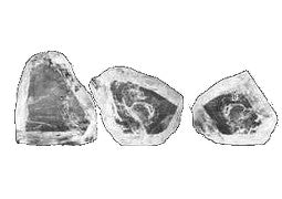 renesim-beruehmte-diamanten-cullinan-diamanten-x1