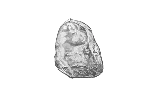 Excelsior Diamant