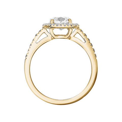 yellow gold